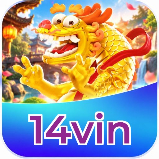 14vin FAQ